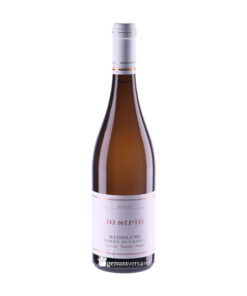 Riesling IGP Terree di Chieei | Di Sipio