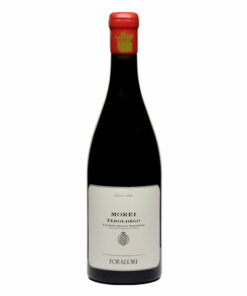 Morei Teroldego Vigneti delle Dolomiti, IGT Az. Agr. E. Foradori, Mezzolombardo, Trentino